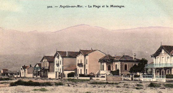 illustration