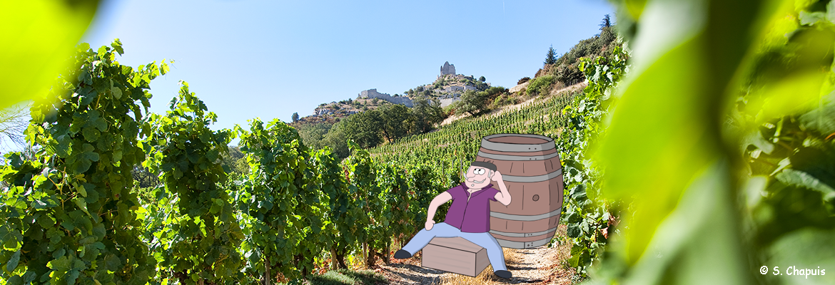 Image à la une du : Le vigneron tête en l'air à Saint-Péray