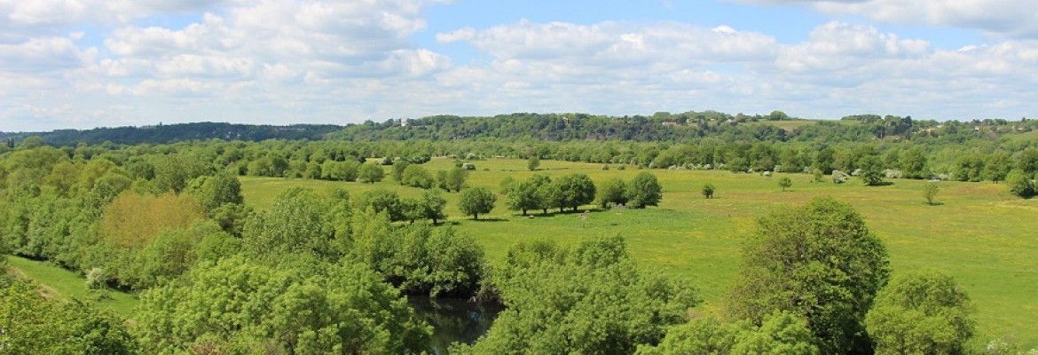 En'Quête de plantes sur l'île Bridon - A la recherche de l'île disparue En'Quête de plantes sur l'île Bridon - A la recherche de l'île disparue