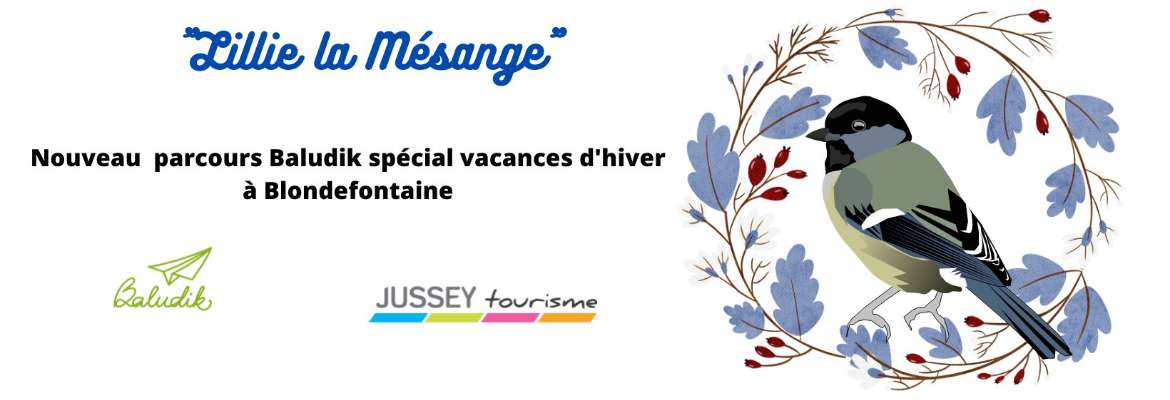 Image à la une du : Lillie la Mésange à Blondefontaine
