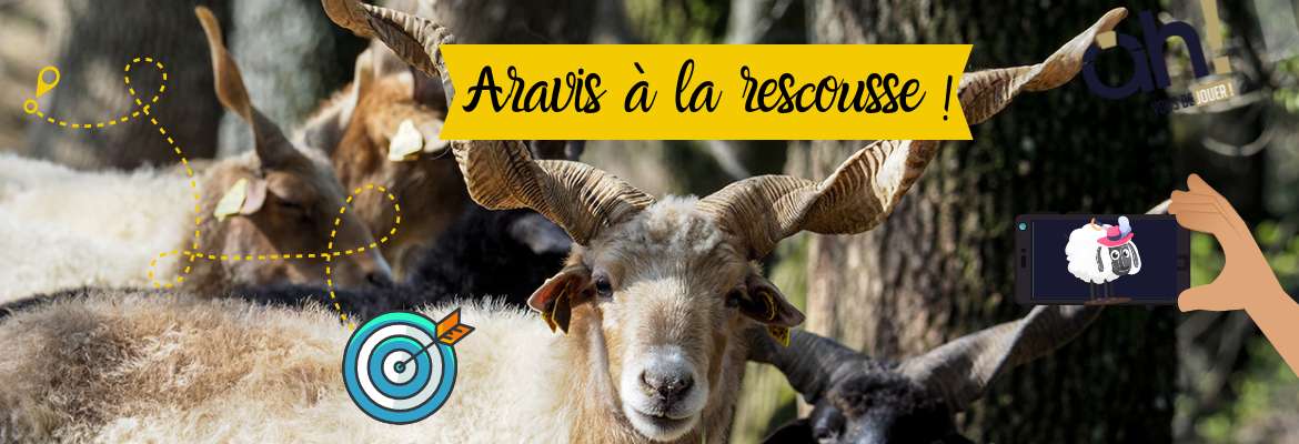 Aravis à la rescousse !