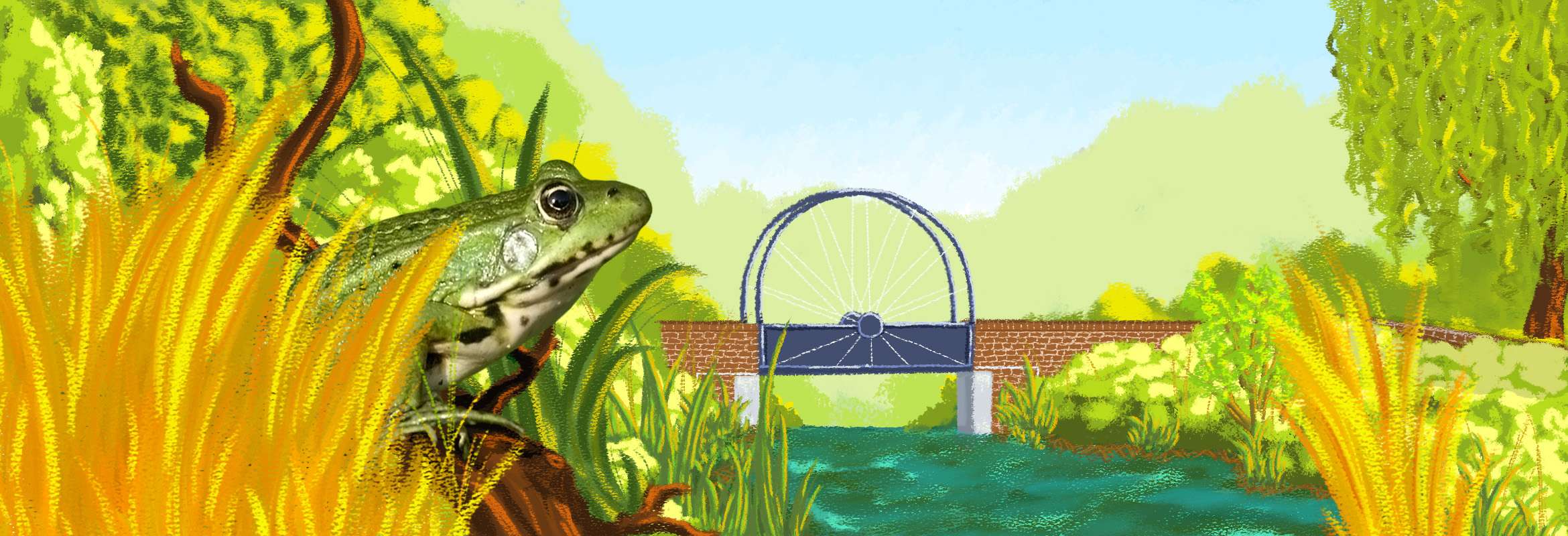 illustration