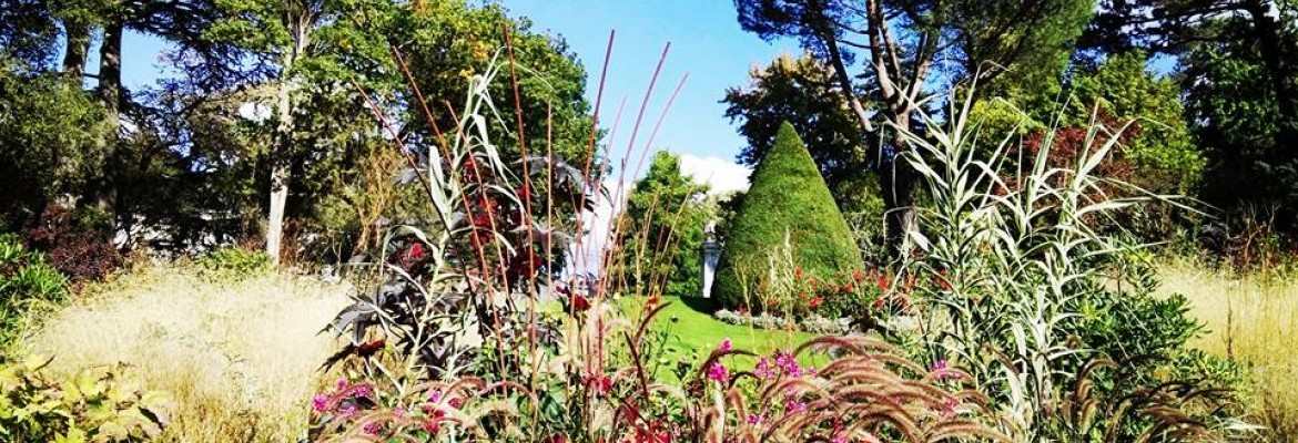 Drôle de Mystère au Jardin des Plantes ! Drôle de Mystère au Jardin des Plantes !
