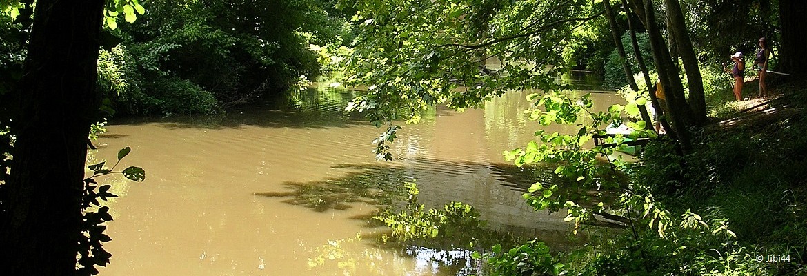 La sorcière du parc Jean Rameau