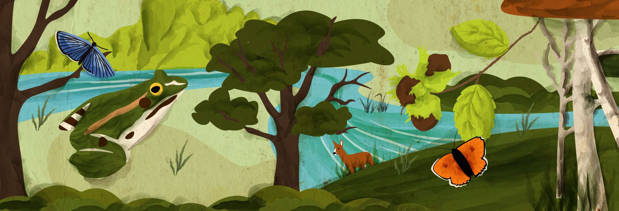 illustration