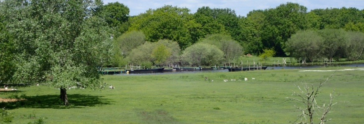 Saint André des Eaux, immersion dans les marais de Grande Brière Saint André des Eaux, immersion dans les marais de Grande Brière