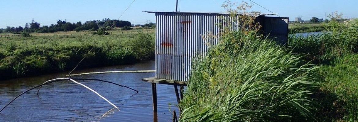 Mystère dans les marais de Brière à Saint-Malo-de-Guersac Mystère dans les marais de Brière à Saint-Malo-de-Guersac