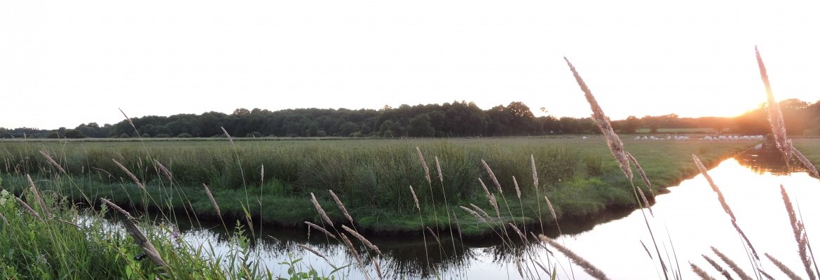 Rencontre avec Jeannette dans le marais breton !