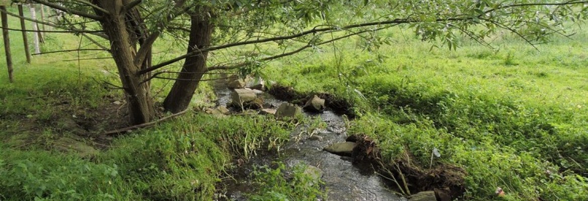 Une goutte d'eau dans la ville - Savenay Une goutte d'eau dans la ville - Savenay