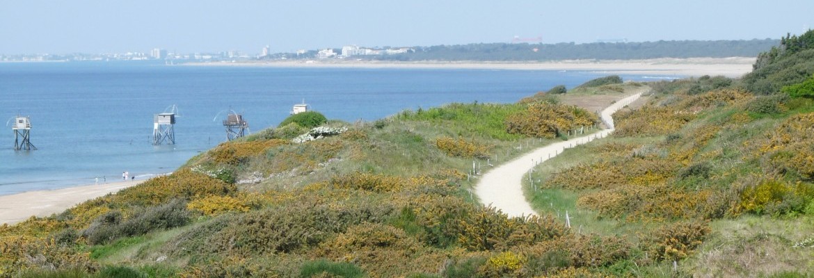 De la mer à la terre, St Michel côté nature.