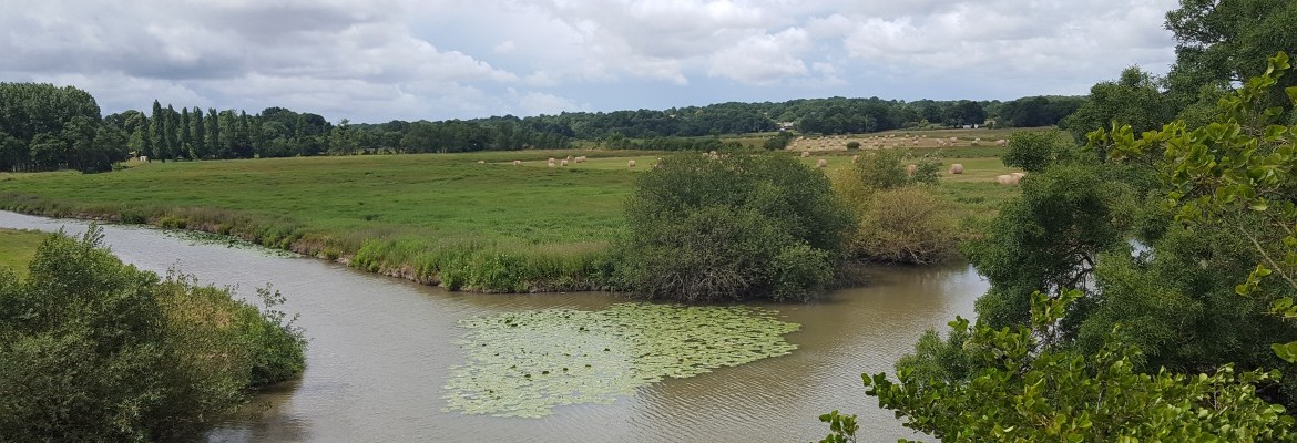 De Cheix à Rouans, au fil de l'Acheneau De Cheix à Rouans, au fil de l'Acheneau