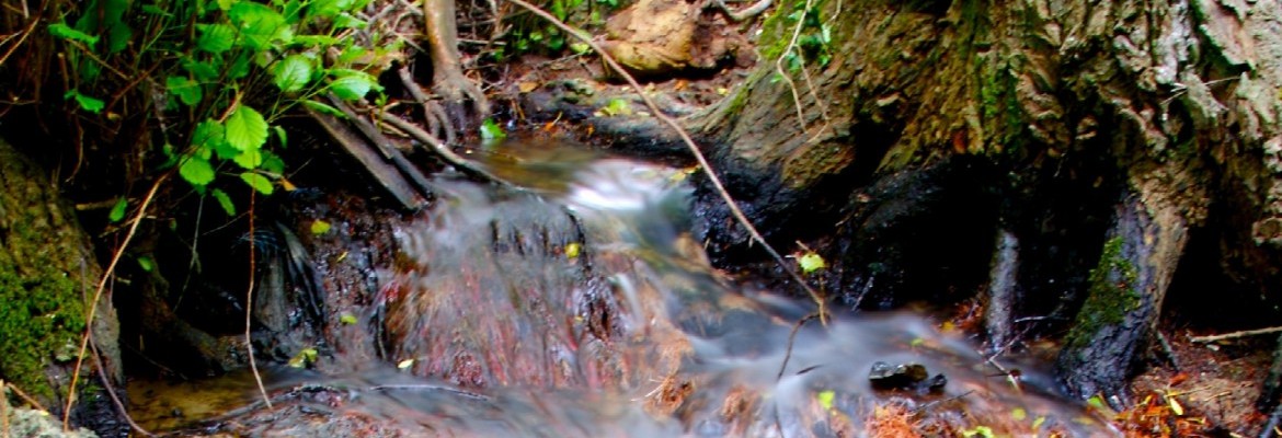 Bussy-Saint-Georges au fil de l'eau Bussy-Saint-Georges au fil de l'eau