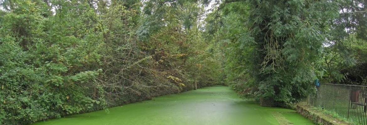 Bussy-Saint-Georges au fil de l'eau