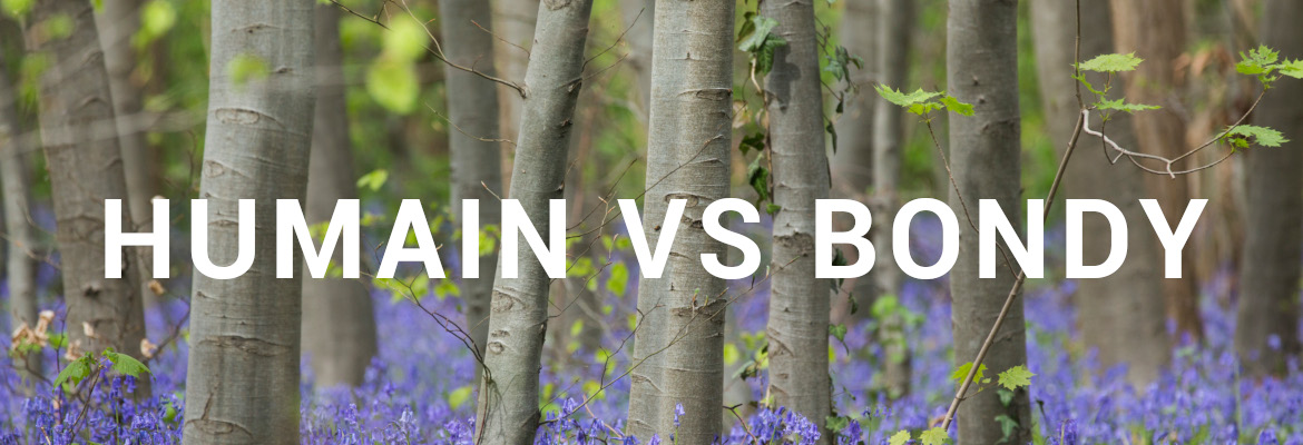 Humain versus la forêt de Bondy Humain versus la forêt de Bondy
