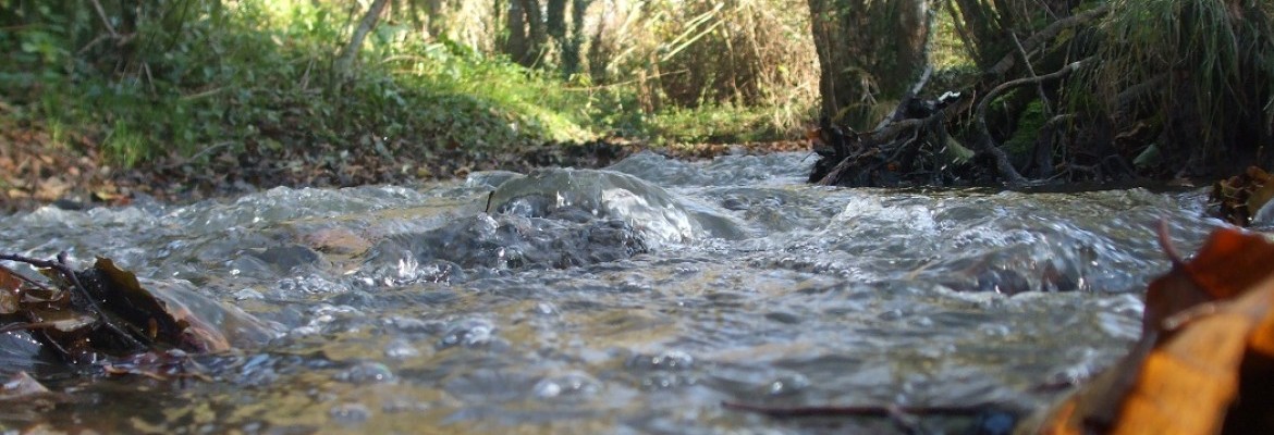 Balad'eau Mureaux Balad'eau Mureaux