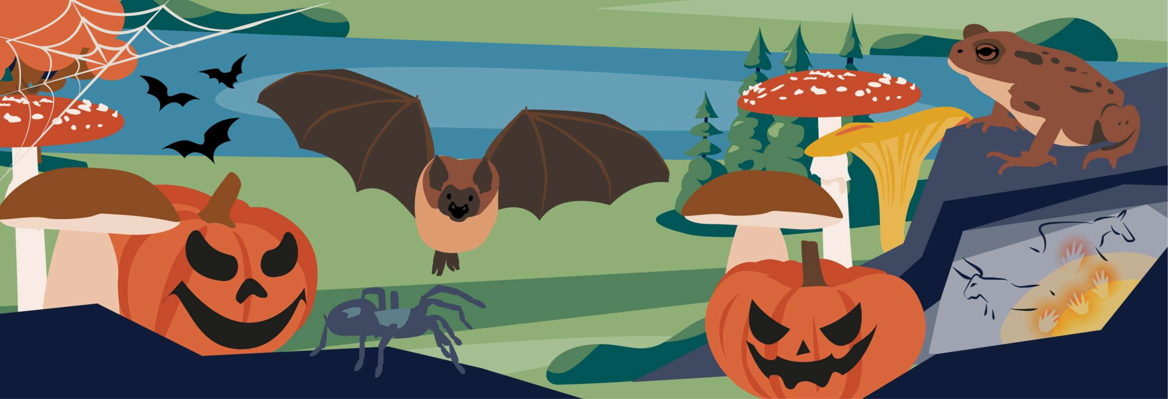 illustration