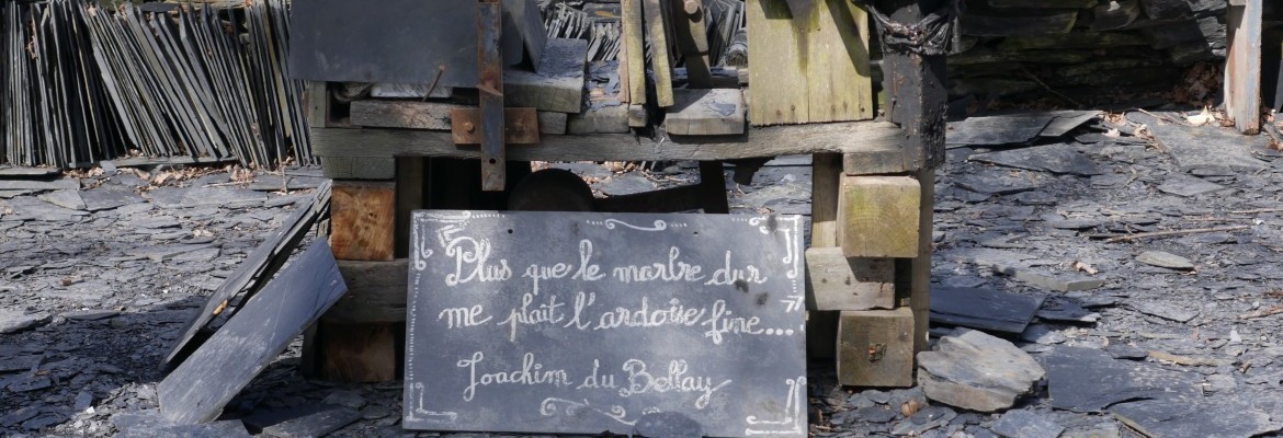 Mais où est donc passé le parageot Barnabé ?