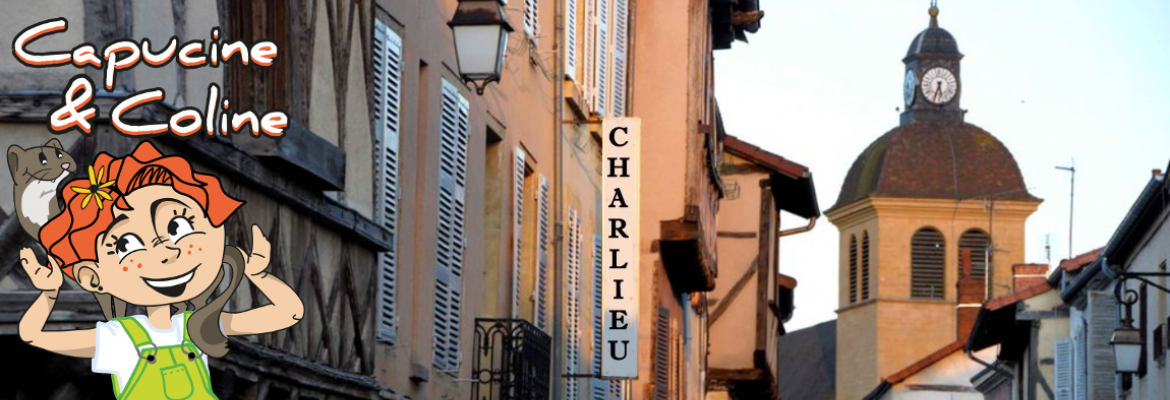 L'alchimiste de Charlieu L'alchimiste de Charlieu
