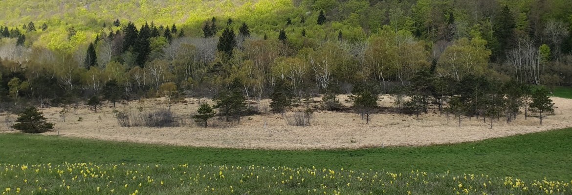 La nature des tourbières du Peuil La nature des tourbières du Peuil