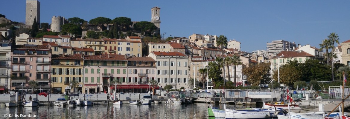 Visite du centre-ville