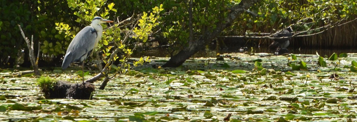 Ruisseau des sourdes
